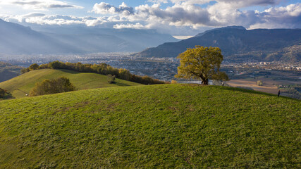 Le chene de Venon sur les hauteurs de Grenoble