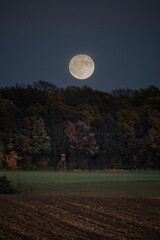 full moon over the forest
