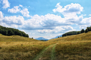 Beautiful summer landscape with fresh green grass, blue sky and white puffy clouds.