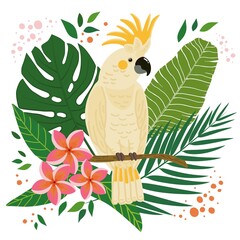 Cockatoo parrot wild tropical exotic bird and tropical plants hand drawn vector illustration
