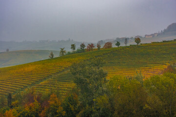 Fototapeta premium Amazing autumnal landscape in the Langhe, famous vineyard area in Piedmont Italy