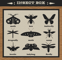 Geometric Insect Bug Vector Logos Icons - Shadow Box Included