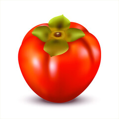 Ripe orange persimmon isolated on white background. 3d realistic fresh persimmon whole. Side view. Vector illustration EPS 10