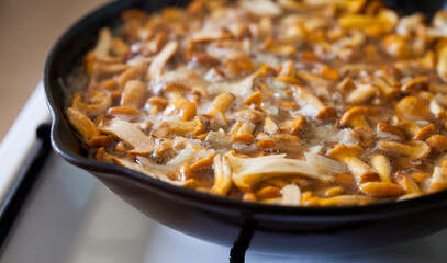 Chanterelle -  delicious edible mushrooms cooking in the iron frying pan.