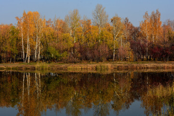 autumn trees reflected in water