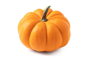 Fresh miniature pumpkin on an isolated white background