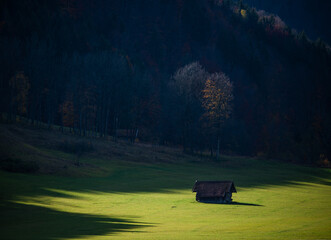 hut in the forest