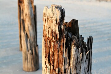 Old rotten wood post in the sand