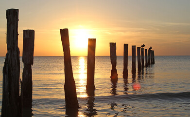 Ocean view of sunset with old posts in the water