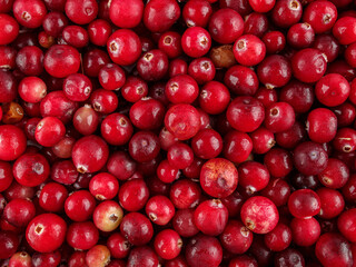 Cranberry berries are used for the preparation of fruit drinks, juices, kvass, extracts, jelly, these are good sources of vitamins, selective focus, close-up