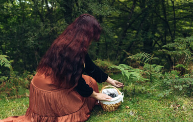 Beautiful young woman with long hair bending down and picking blackberries from a blackberry bush...
