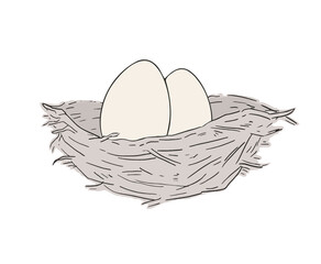 Nest and eggs draw
