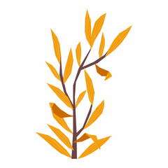 Vector flat isolated image with dry branch of weeping willow tree with yellow leaves. Concept autumn season, nature, flora, botanical illustration. You can use the element in web design, banners, etc.