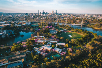 Sunset aerial shot of Brisbane in jacaranda season - obrazy, fototapety, plakaty