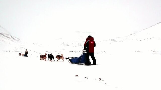 Spitsbergen, Norway-21 April 2011: People expedition on dog sled team husky Eskimo road of North Pole in Arctic. Way from airport Longyear to Pyramid Spitsbergen on background of glacier Svalbard.