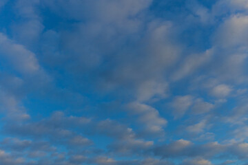 Fototapeta premium evening clouds in the blue sky
