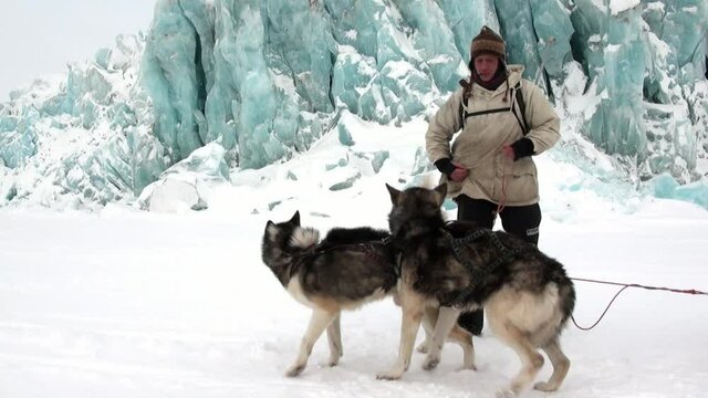 Spitsbergen, Norway-21 April 2011: People expedition on dog sled team husky Eskimo road of North Pole in Arctic. Way from airport Longyear to Pyramid Spitsbergen on background of glacier Svalbard.