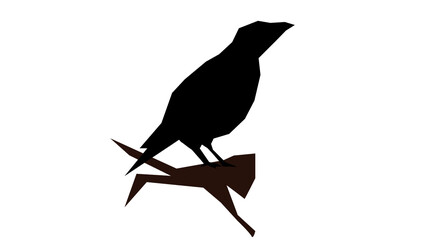 Crow silhouette on branch