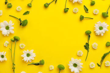 Obraz na płótnie Canvas Frame made of beautiful flowers on yellow background