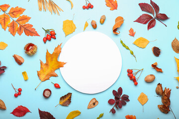 Autumn forest decor and paper card on color background