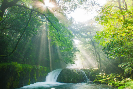 菊池渓谷の光芒, 日本,熊本県,菊池市