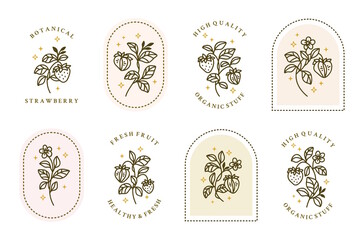 Set of vintage hand drawn botanical strawberry and leaf branch logo elements