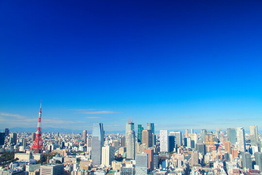 東京タワーと都心のビル群, 港区,東京都