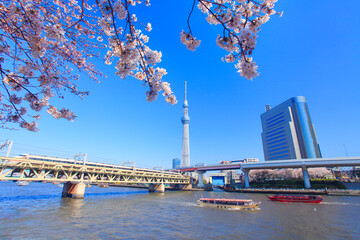 ソメイヨシノと東京スカイツリーと隅田川と船と特急スペーシア, 台東区,東京都
