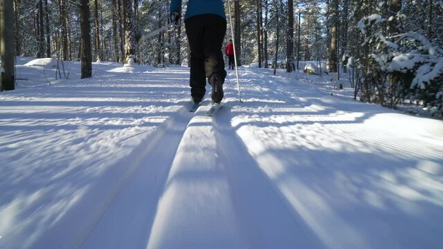 A woman going cross-country skiing in a frozen forest in Finland on a frosty sunny day. Steadicam Tracking Shot.