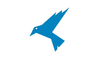 blue bird vector illustration