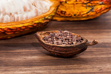 Theobroma cacao - Dried Crushed Cocoa Beans With Fruit