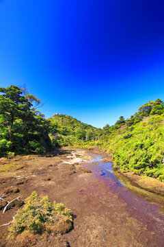 小花之江河の湿原と高盤岳, 屋久島町,熊毛郡,鹿児島県