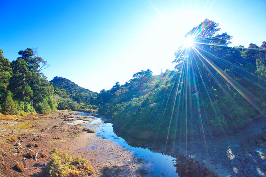小花之江河の湿原と高盤岳と木もれ日の光芒, 屋久島町,熊毛郡,鹿児島県