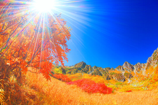 ナナカマドの紅葉と宝剣岳と木もれ日の光芒, 駒ヶ根市,長野県