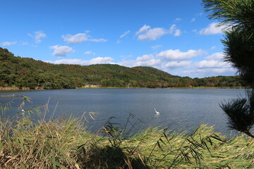  A cityscape in Kyoto in Japan日本の京都の一都市風景: Hirosawa-ike Pond 広沢池の風景