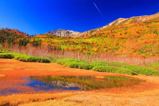 浮島湿原の池に映る紅葉の白馬岳と飛行機雲, 小谷村,北安曇郡,長野県