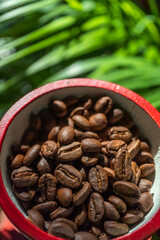 朝のリビングルームで珈琲豆をハンドル式珈琲ミルで挽く