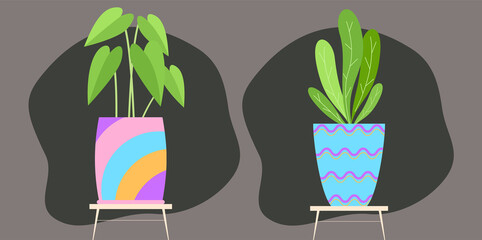 Decorative bright colorful flat plant pots and green leaves collection. Organic flat houseplant collection. 