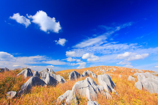 草紅葉とカルスト台地の石灰岩とわた雲, 日本,美祢市,山口県