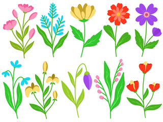 Flower Illustration for wedding card design