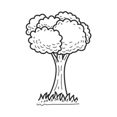 Tree vector illustration in doodle drawing style isolated on white background