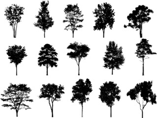 Naklejka premium collection of trees vector on white background