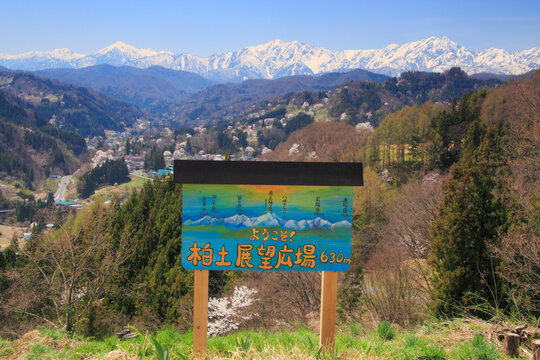 柏土展望広場の案内板と山桜と蓮華岳と爺ヶ岳と鹿島槍ヶ岳, 日本,長野県,上水内郡,小川村