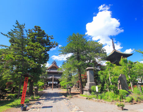信濃国分寺の本堂と三重塔, 日本,長野県,上田市