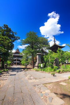 信濃国分寺の本堂と三重塔, 日本,長野県,上田市