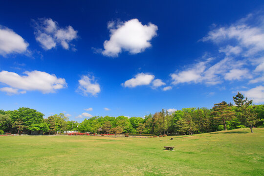 Imagenes De Si Descubre Bancos De Fotos Ilustraciones Vectores Y Videos De 695 765 Adobe Stock Imagenes De Si Descubre Bancos De Fotos Ilustraciones Vectores Y Videos De 695 765 Adobe Stock