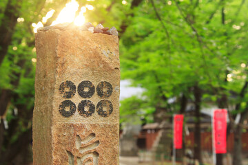 真田神社の六文銭と夕日の木もれ日, 日本,長野県,上田市