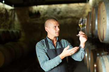 Professional sommelier examining white wine in winery basement with wooden barrels in background..