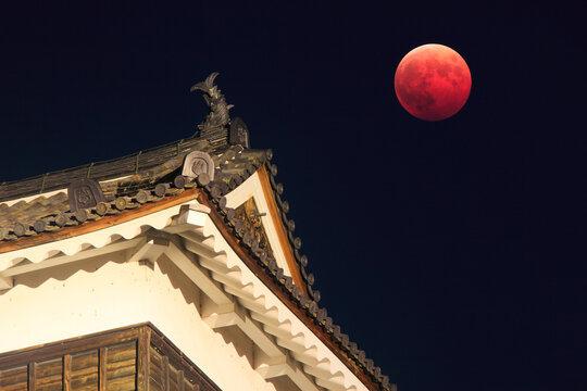 皆既月食と上田城の南櫓の鯱, 日本,長野県,上田市