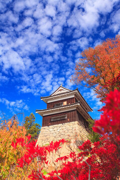 上田城の南櫓と紅葉とうろこ雲, 日本,長野県,上田市